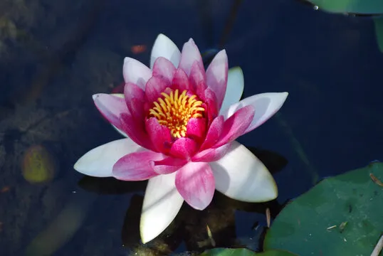 澳洲幸运5 数据分析